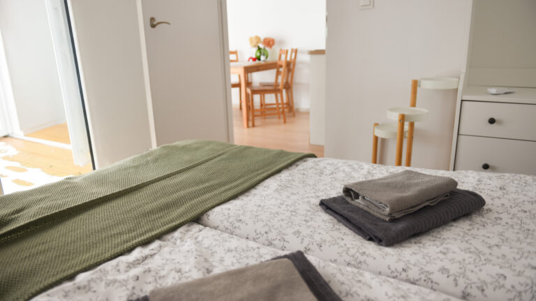 domek indyjski 10.02.2025 5